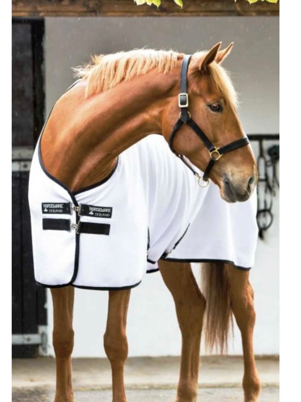 Horseware Ireland Horse White Rambo Techni-Waffle Cooler Horse Blanket 81"